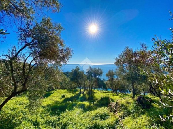 terreno agricolo in vendita a Cipressa