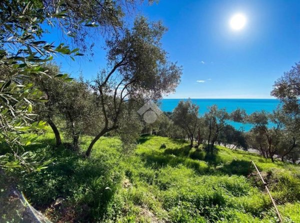 terreno agricolo in vendita a Cipressa
