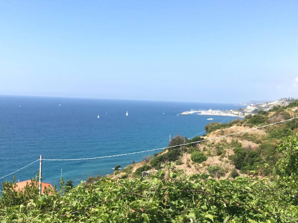 terreno agricolo in vendita a Cipressa in zona Piani di Cipressa