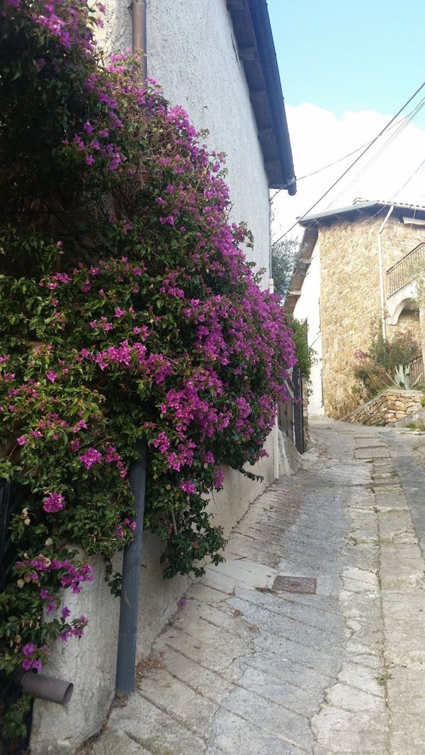 casale in vendita a Cipressa