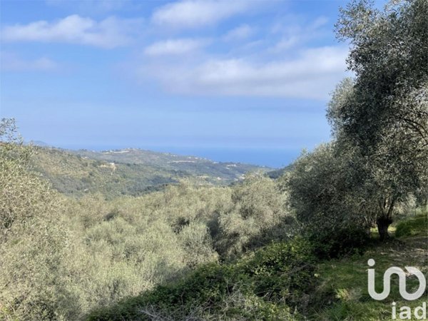 terreno agricolo in vendita a Cipressa in zona Lingueglietta