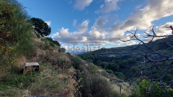 terreno agricolo in vendita a Cipressa