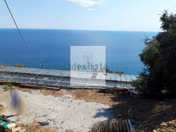 terreno agricolo in vendita a Cipressa