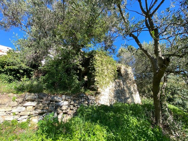 casa indipendente in vendita a Cipressa