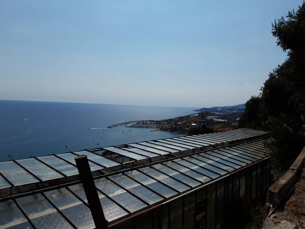 terreno agricolo in vendita a Cipressa
