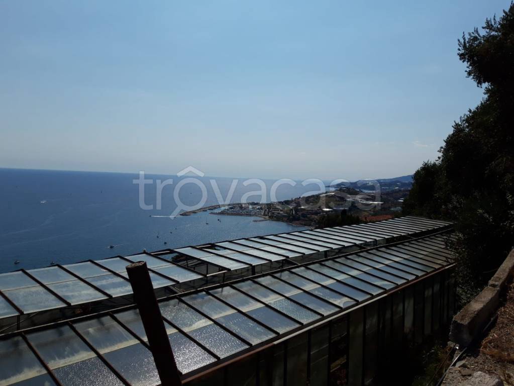 terreno agricolo in vendita a Cipressa