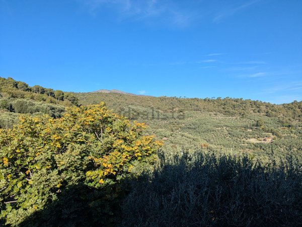 appartamento in vendita a Cipressa in zona Lingueglietta