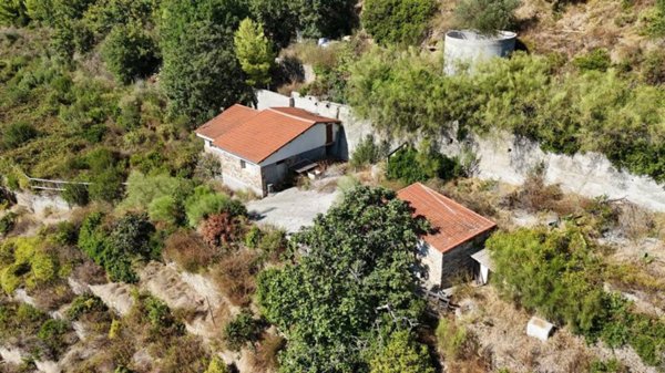 terreno agricolo in vendita a Cipressa
