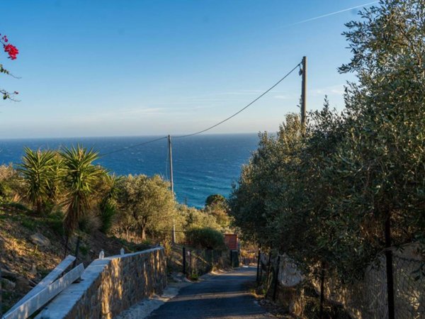terreno agricolo in vendita a Cipressa