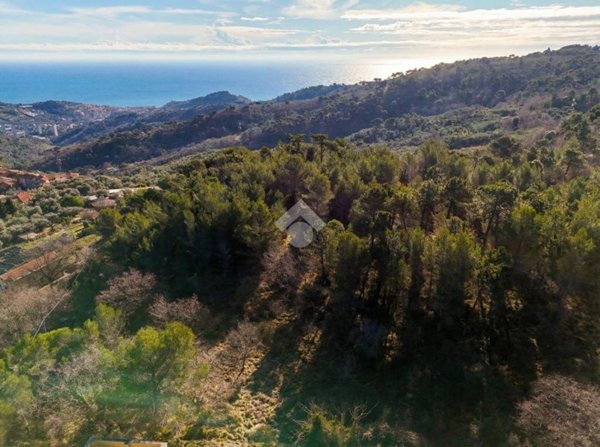 terreno agricolo in vendita a Cipressa in zona Lingueglietta