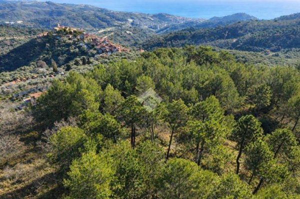 terreno agricolo in vendita a Cipressa in zona Lingueglietta