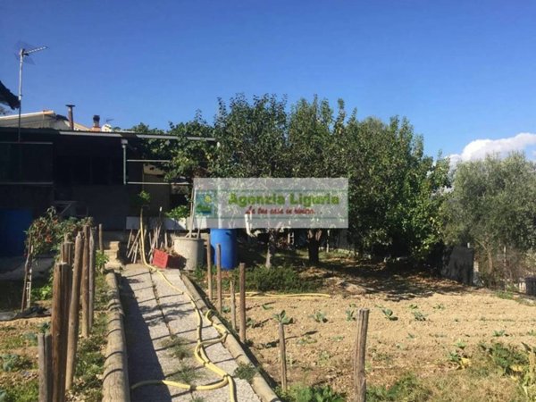 terreno agricolo in vendita a Civezza