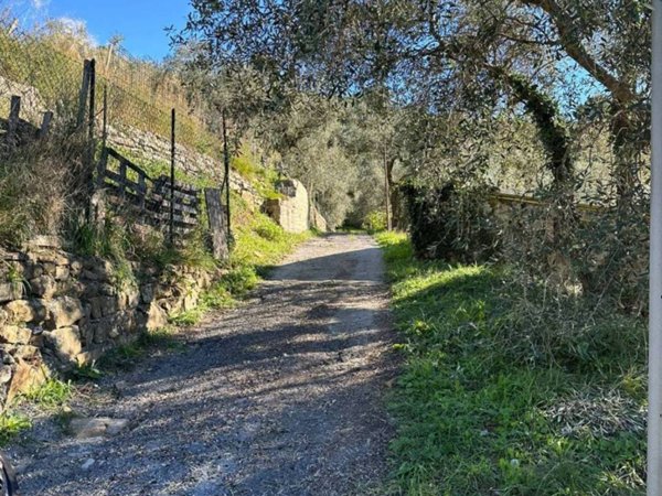 terreno agricolo in vendita a Civezza