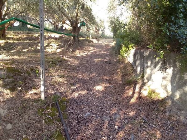 terreno agricolo in vendita a Civezza