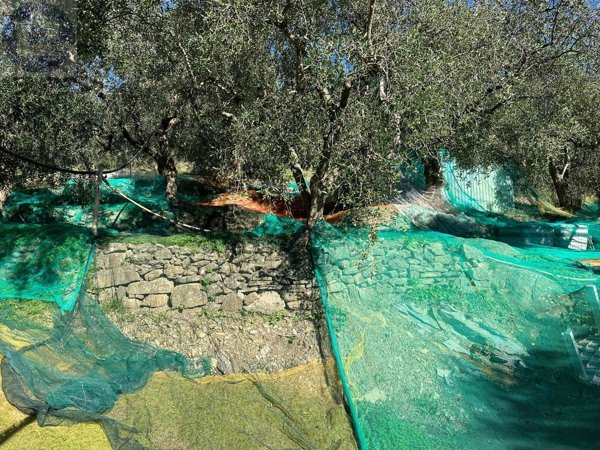 casa indipendente in vendita a Civezza