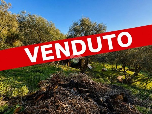 terreno agricolo in vendita a Civezza