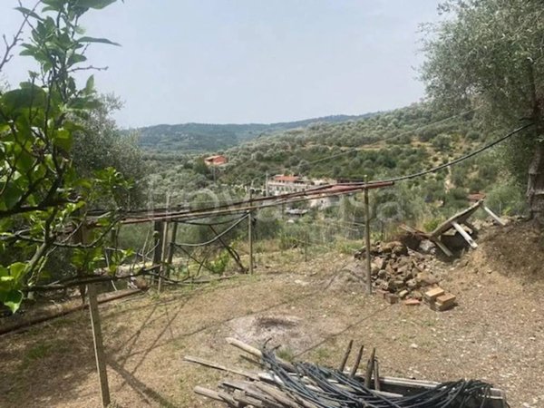 terreno agricolo in vendita a Civezza