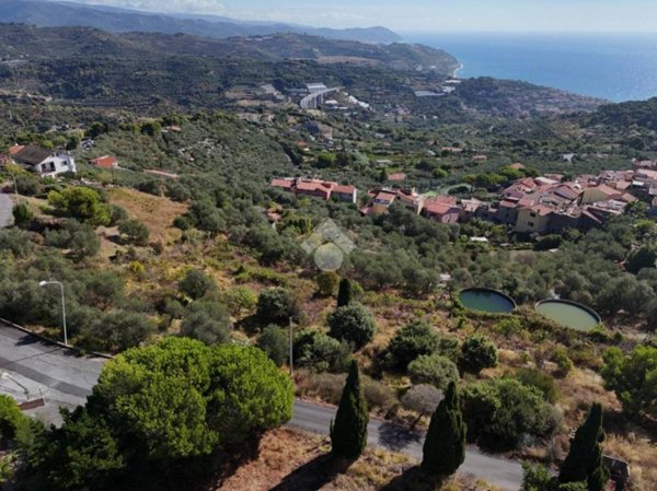 terreno agricolo in vendita a Costarainera