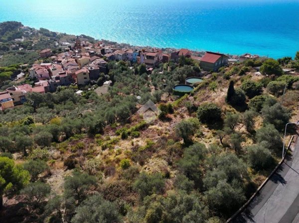 terreno agricolo in vendita a Costarainera