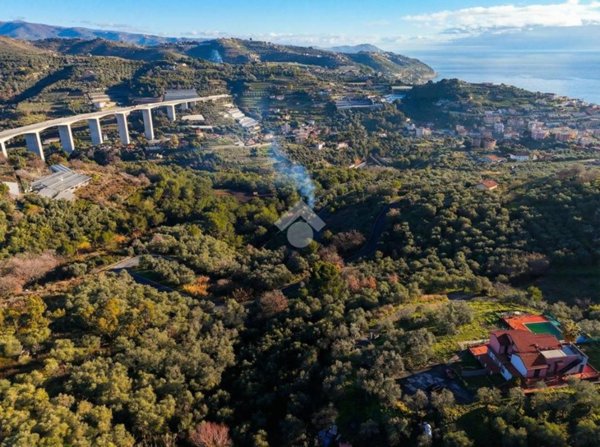 terreno agricolo in vendita a Costarainera