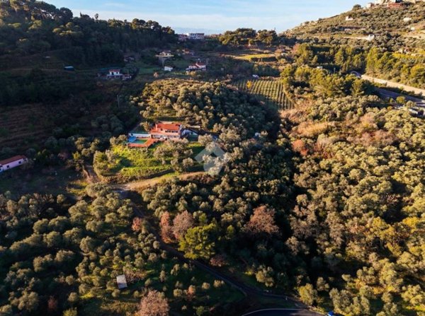 terreno agricolo in vendita a Costarainera