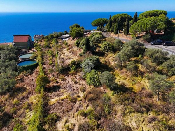 terreno agricolo in vendita a Costarainera