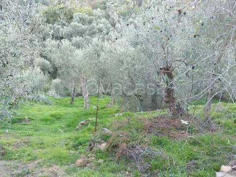 appartamento in vendita a Costarainera