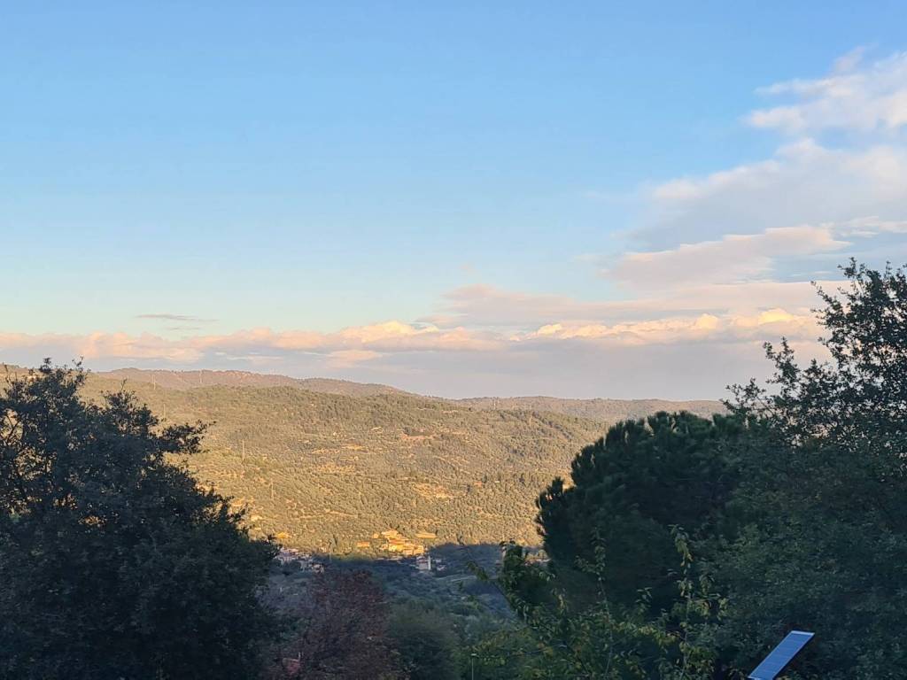 casa indipendente in vendita a Diano Arentino
