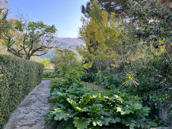 appartamento in vendita a Diano Arentino