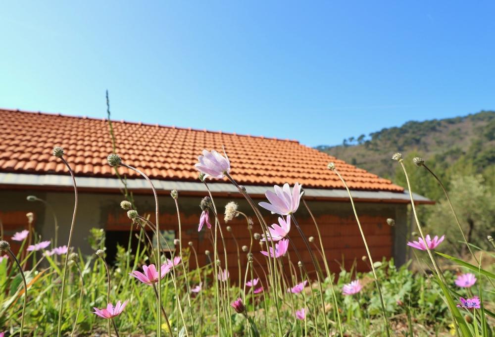 casa indipendente in vendita a Diano Arentino