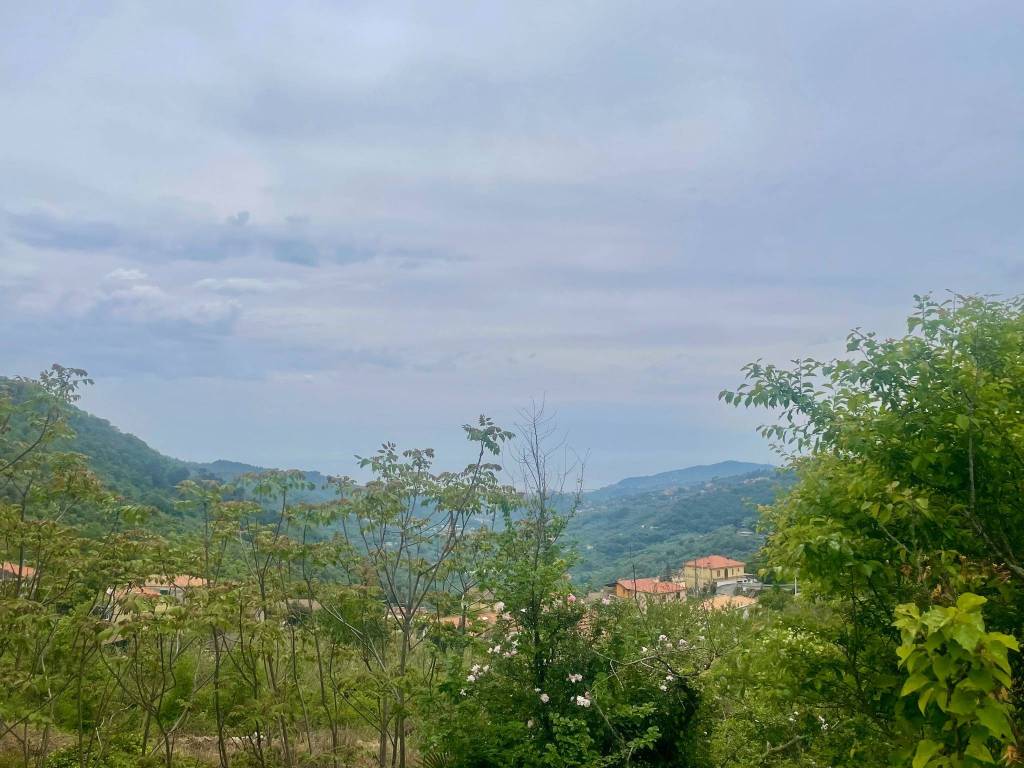 casa indipendente in vendita a Diano Arentino