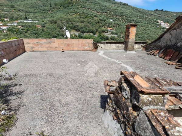 esavano in vendita a Diano Arentino