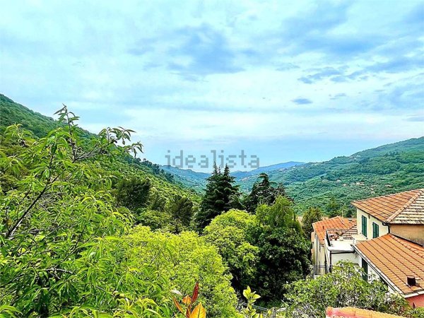 casa indipendente in vendita a Diano Arentino