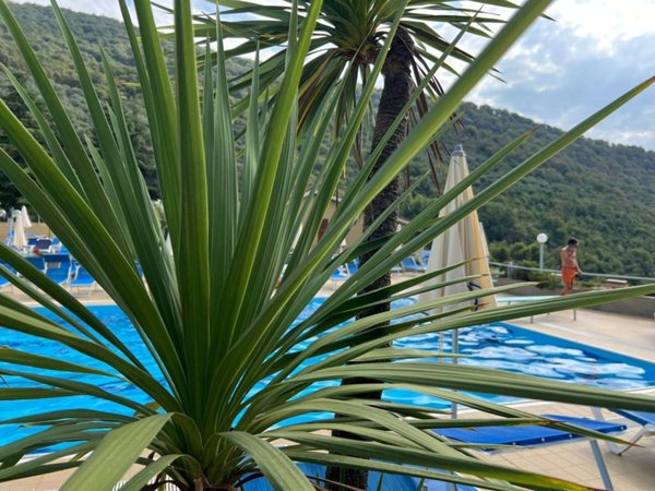 casa indipendente in vendita a Diano Arentino