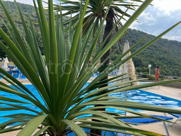 casa indipendente in vendita a Diano Arentino