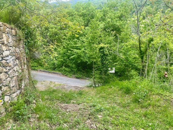 casa indipendente in vendita a Diano Arentino