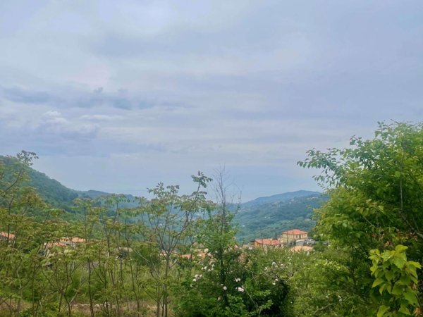 casa indipendente in vendita a Diano Arentino