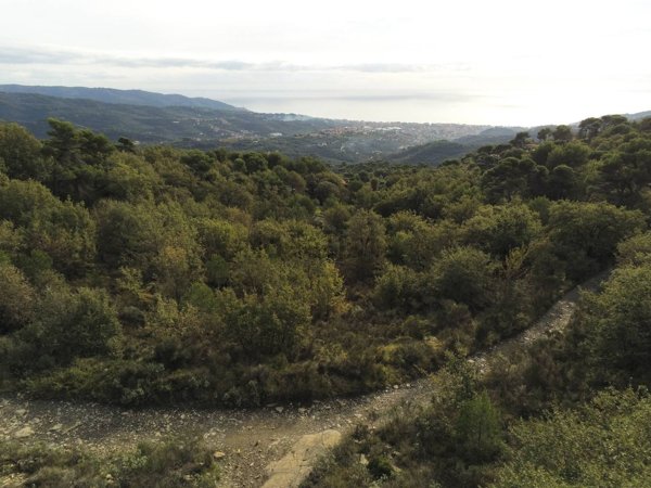 villa in vendita a Diano Arentino