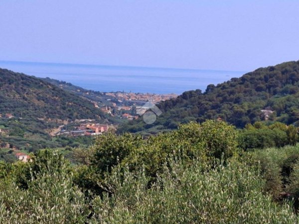 casa indipendente in vendita a Diano Arentino in zona Diano Borello
