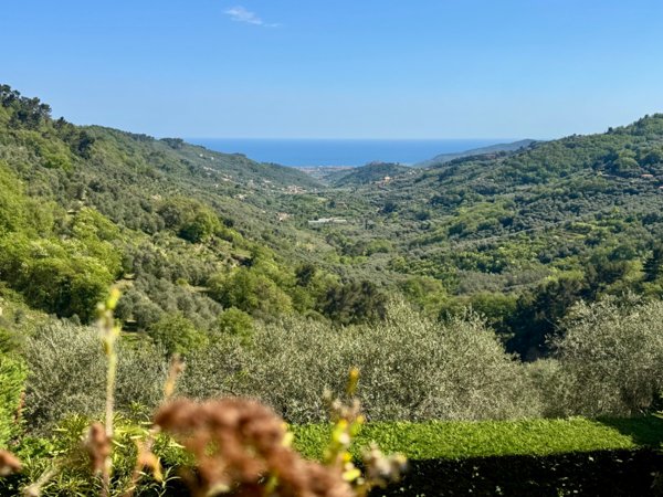 appartamento in vendita a Diano Arentino in zona Diano Borello