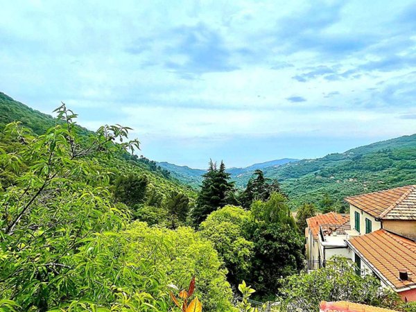 casa indipendente in vendita a Diano Arentino