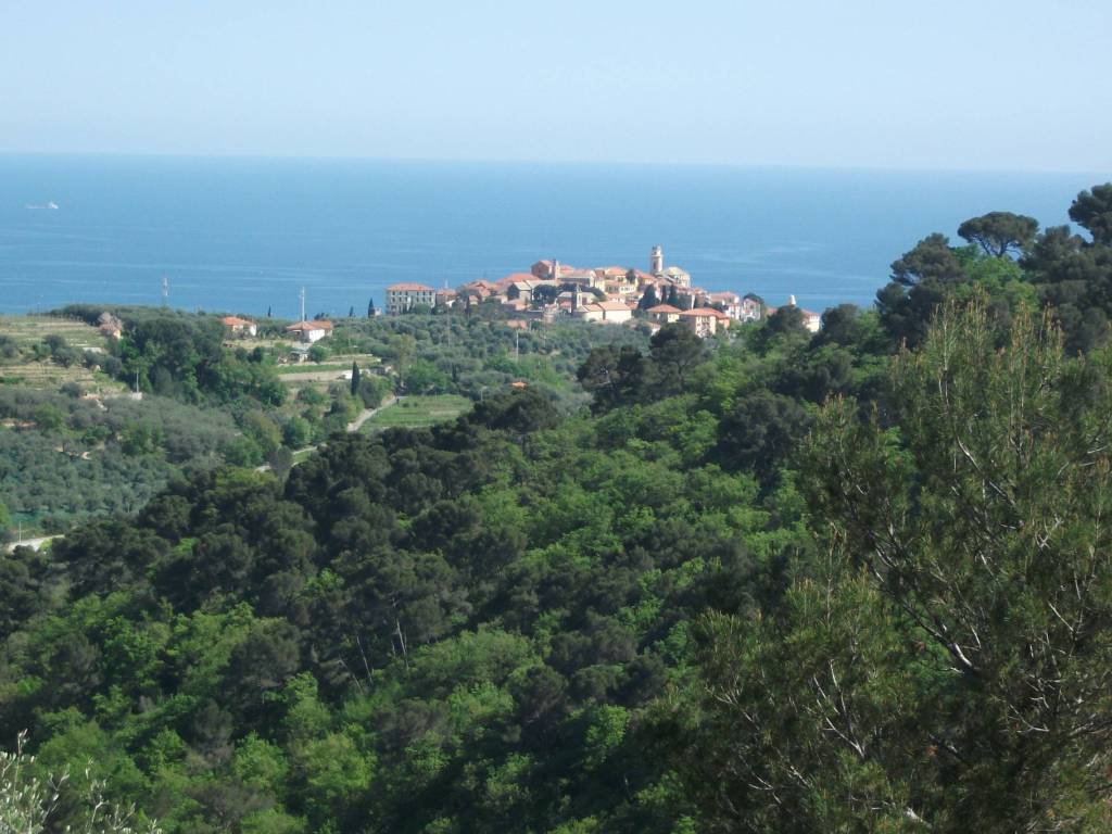 casa indipendente in vendita a Diano Arentino
