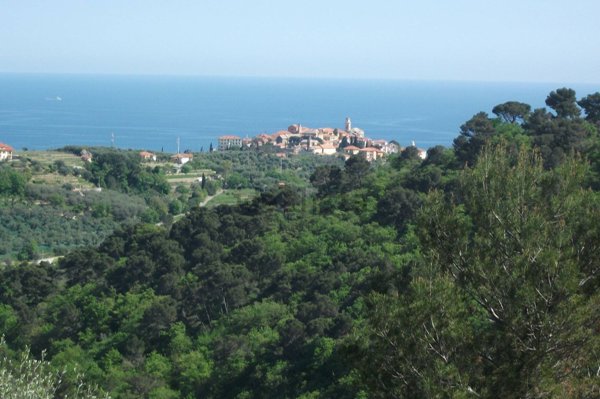 casa indipendente in vendita a Diano Arentino