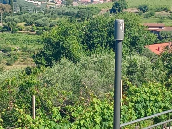 villa in vendita a Diano Castello