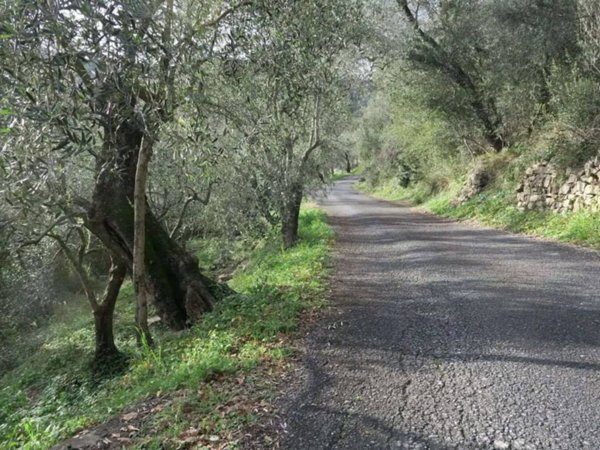 villa in vendita a Diano Castello