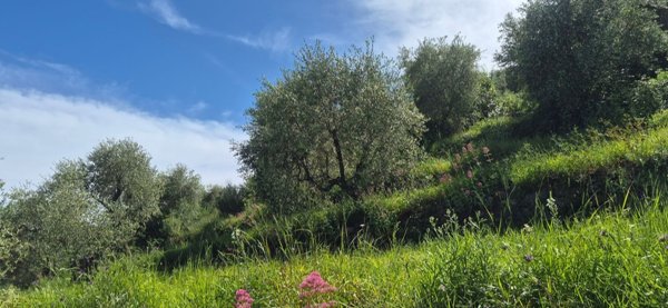 villa in vendita a Diano Castello