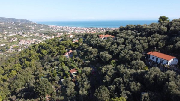 terreno agricolo in vendita a Diano Marina in zona Muratori