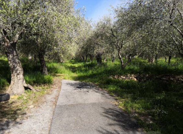 casa indipendente in vendita a Diano Marina in zona Calderina