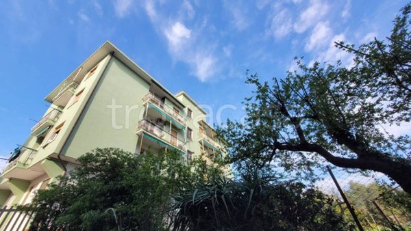 appartamento in vendita a Diano Marina