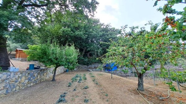 terreno agricolo in vendita a Diano Marina in zona Gorleri